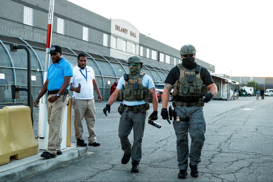 Diese soll sich, ähnlich wie ICE in den USA, einzig um Abschiebungen und Verhaftungen illegaler Migranten kümmern.