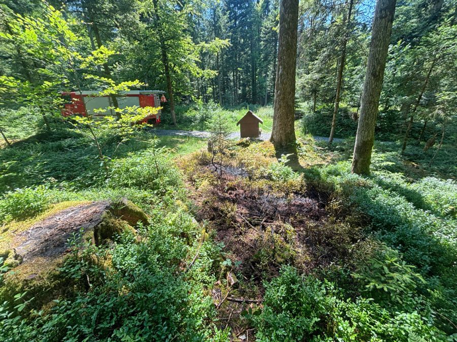 Flurbrand Schwarzenberg