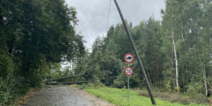 Ein umgestürzter Baum in Lettland blockiert eine Straße und hat einen Strommast beschädigt. Foto: Alexander Welscher/dpa