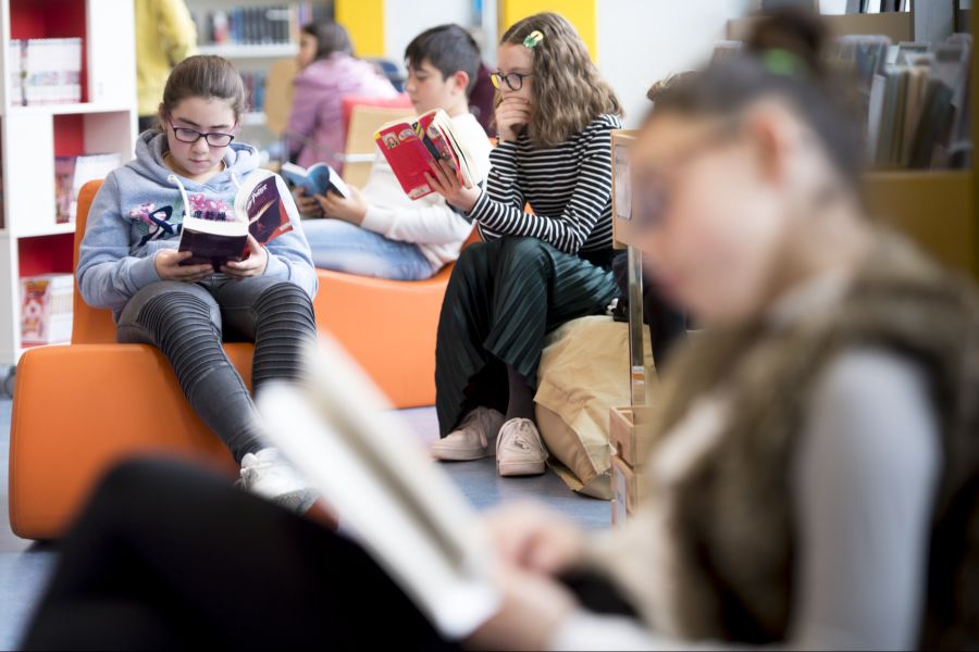 In allen Bereichen liegen die Schweizer Schüler über dem Durchschnitt.