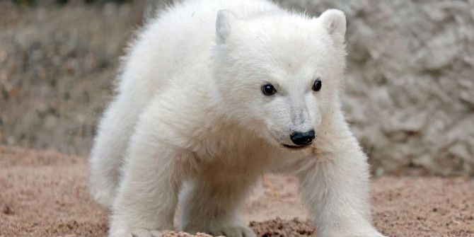 Karlsruher Zoo