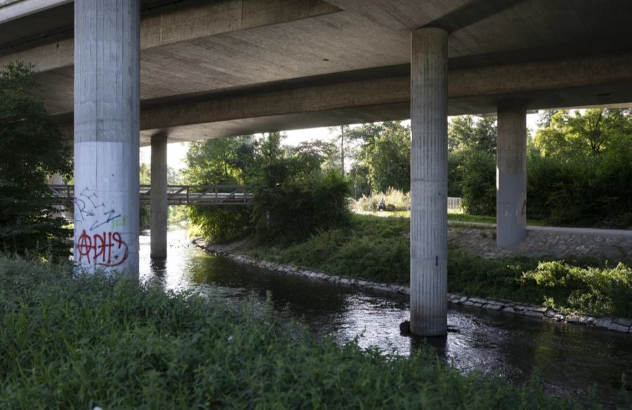 Graffiti – wie hier in Zürich – kosten jedes Jahr einiges an Geld.