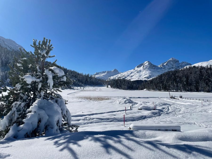 Stazersee Winter Engadin