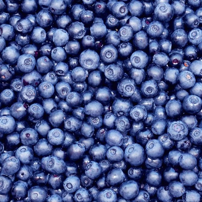 Blaubeeren Albert Heijn