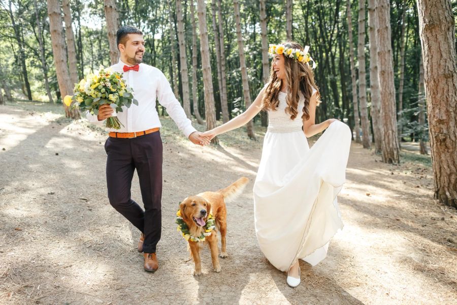 Hochzeit Hund