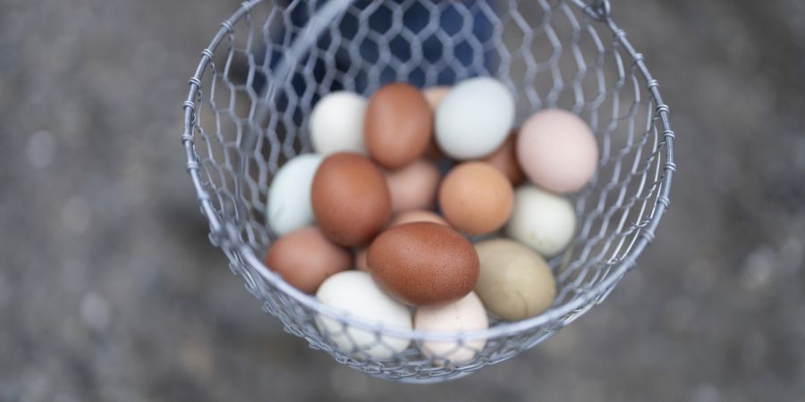 Hühnereier