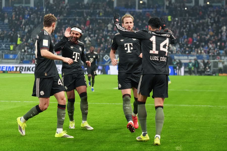 FC Bayern HSV Bundesliga