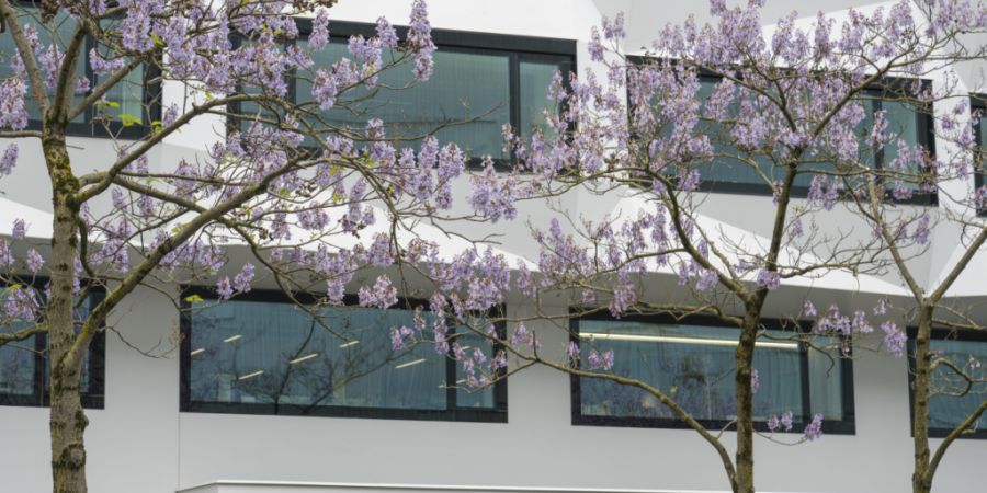 Religionspädagogik wird heute von der Theologischen Fakultät der Universität Luzern angeboten. (Archivaufnahme)