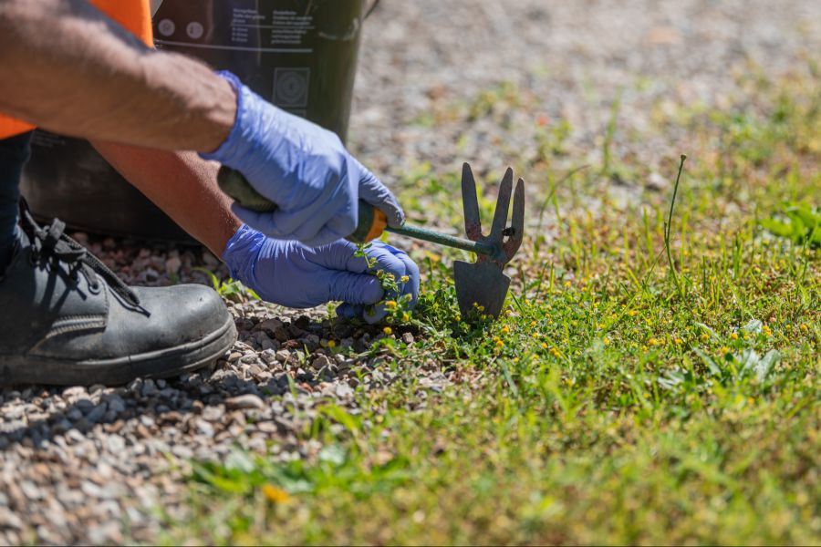Gemeinnützige Arbeit