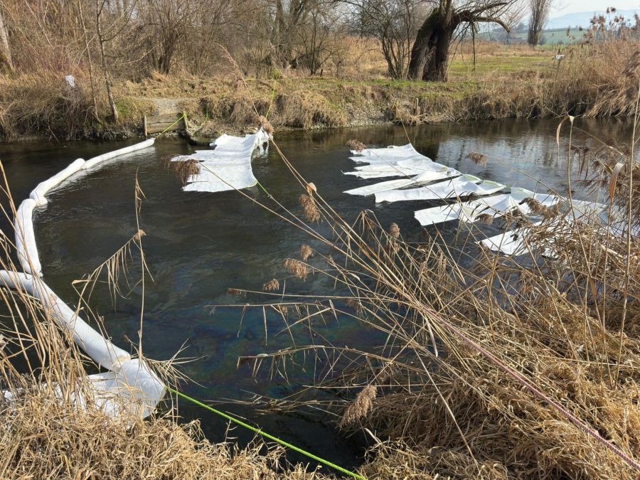 Es mussten mehrere Feuerwehren entsprechende Ölwehrmassnahmen einleiten.
