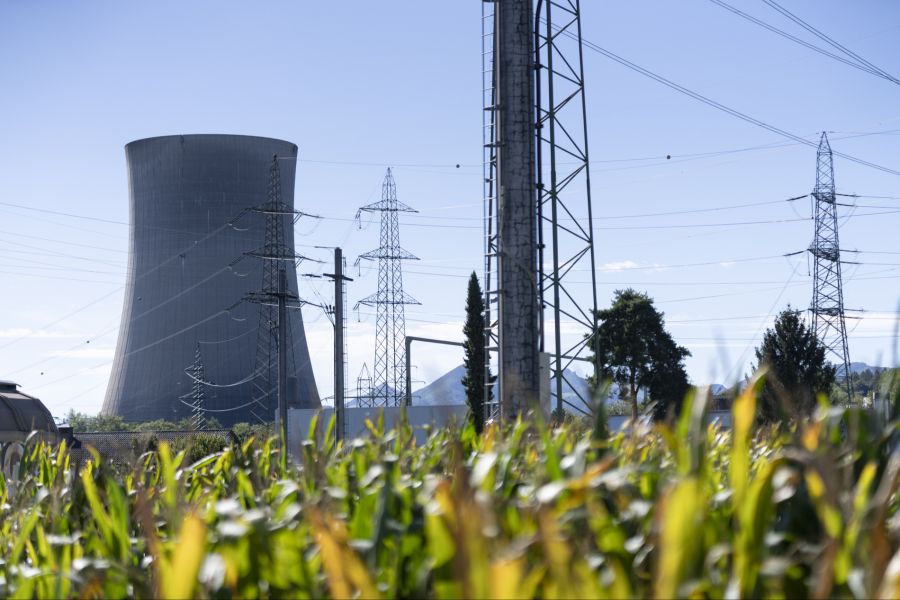 Das Kernkraftwerk Gösgen wurde 2024 im Rahmen einer jährliche Revision vom Netz genommen. (Archivbild)