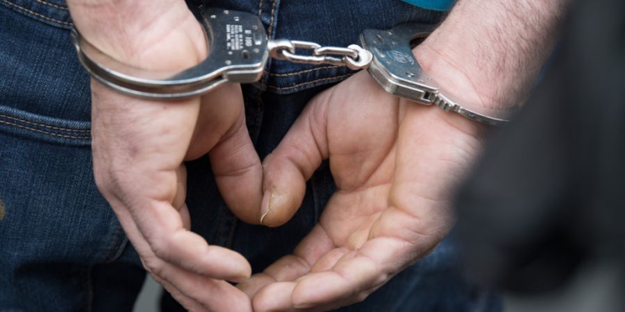 Die mutmasslichen «Pädo-Hunter» von Embrach sind von der Kantonspolizei Zürich dingfest gemacht worden. Es handelt sich um sechs junge Männer aus verschiedenen Ländern - auch der Sc...