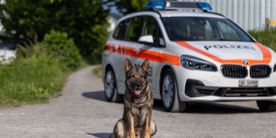 Diensthund Erol stellte einen der mutmasslichen Diebe.