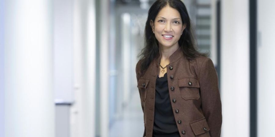 Überraschender Abgang beim Biotechunternehmen Idorsia. Firmenchefin Srishti Gupta tritt ab. Die Leitung übernimmt Gründer und Verwaltungsratspräsident Jean-Paul Clozel, zumindest vo...