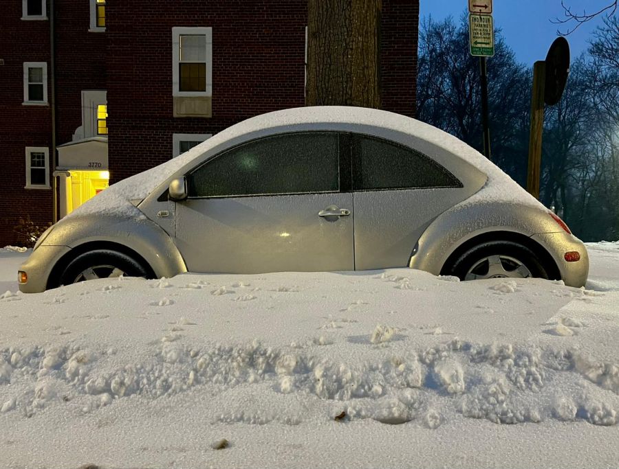 Die in Washington D.C. lebende Natalie Meier* wagte sich am Montagmorgen raus.