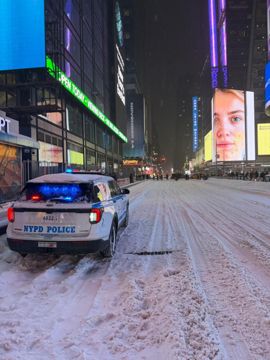 Ein Foto der beiden New-York-Touristen zeigt ein Polizei-Auto, das sich durch die Schnee-Massen kämpft.