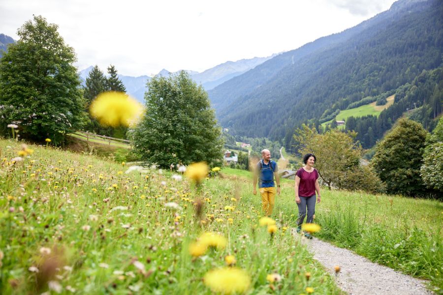 Zwischen verstreuten Höfen, Gärten und Viehweiden wird auf dem Au- und Wiesenweg die landwirtschaftliche Prägung des Montafon sichtbar.