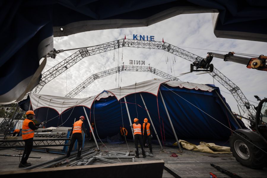 Circus Knie