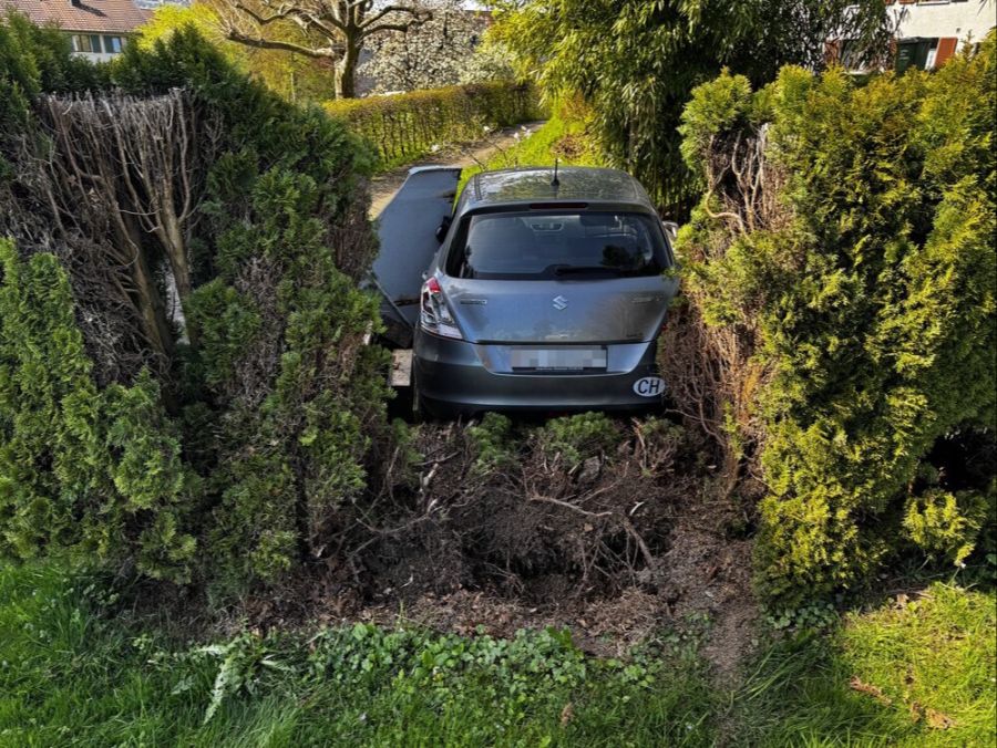 Der Autofahrer fuhr zunächst durch eine Hecke.