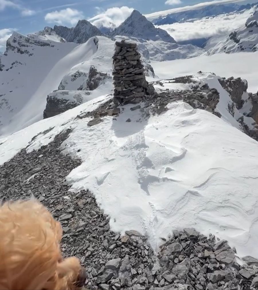 Mit Hund in den Bergen. Orlando Bloom geniesst die Schweiz hoch hinaus.