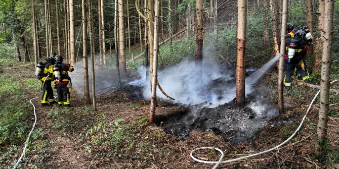 Asche Waldboden Brand