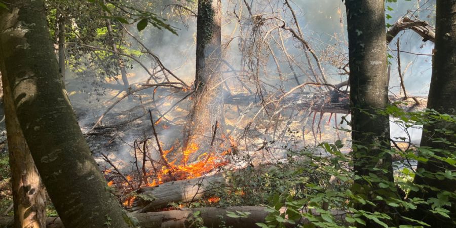 Warum oberhalb von Eptingen im Baselbiet am Samstag 200 Quadratmeter Wald brannten, war zunächst unklar.