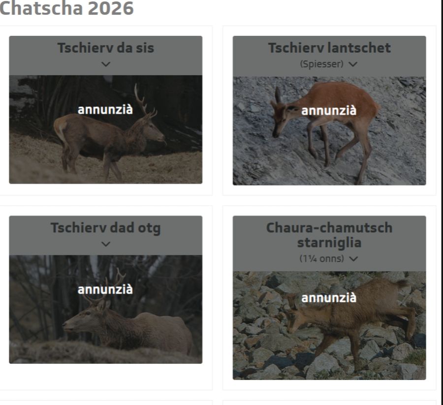 Die Jäger können bei RTR anrufen und ihre erlegten Tiere melden. Darüber hinaus gibt es einen Fotowettbewerb, bei dem das schönste Jagdfoto prämiert wird.