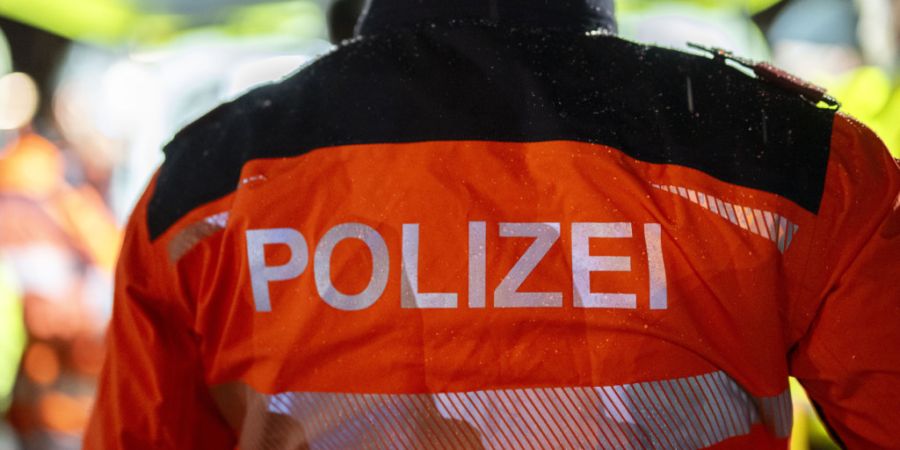 Ein Brand auf einem Schrottplatz führte am Dienstag zu einer weitherum sichtbaren Rauchsäule im Furttal. (Symbolbild)