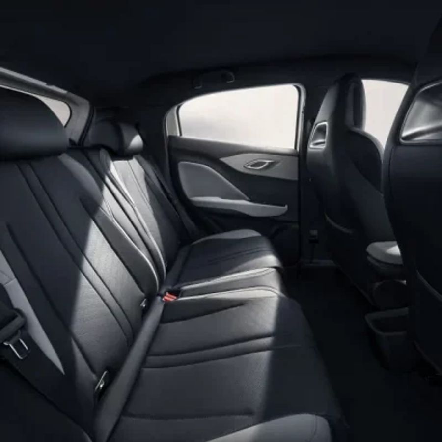 BYD Dolphin Surf
