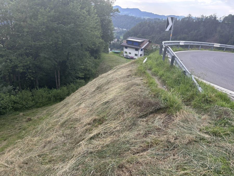 Der Fahrer stürzte das Wiesland hinab.