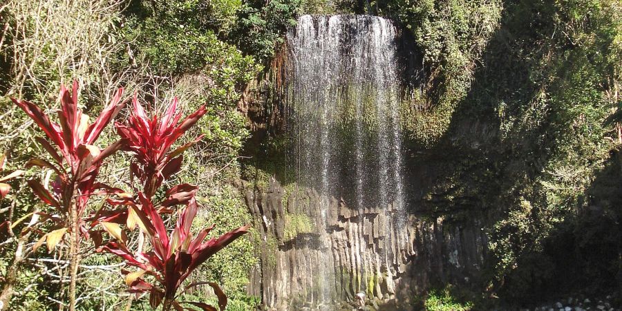 Unfälle an den Millaa Millaa Falls sind sehr selten. (Archivbild)