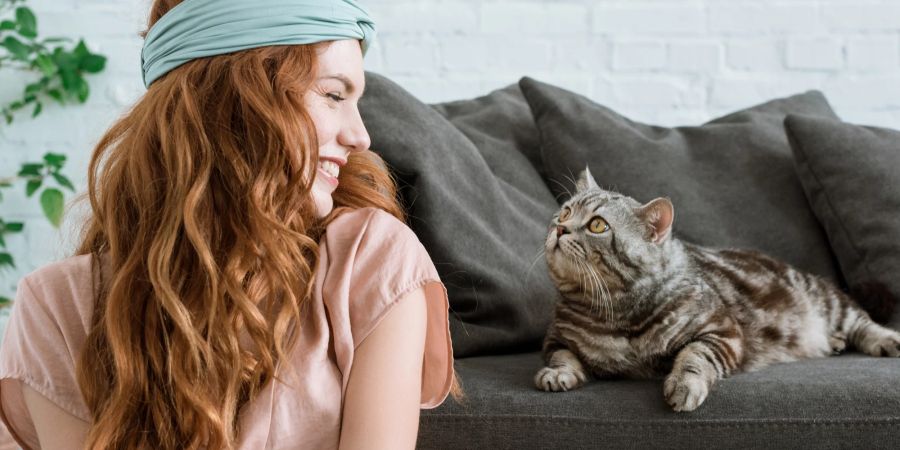 Ist Ihre Katze sozial veranlagt?