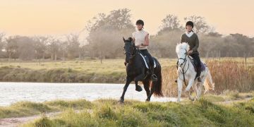 Ausreten. Galopp in der Natur.