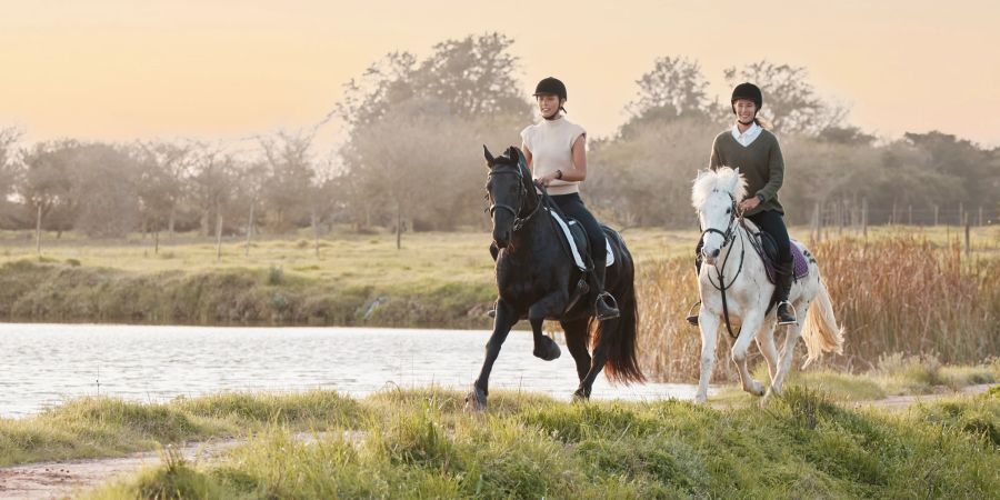 Ausreten. Galopp in der Natur.