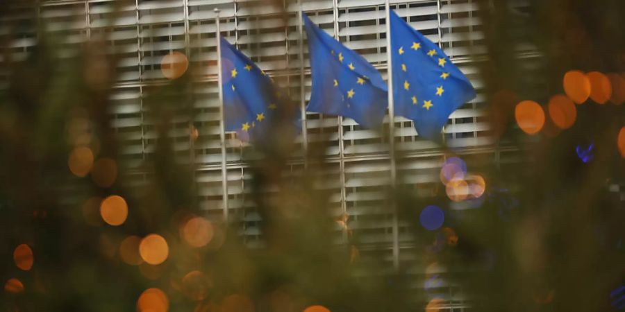 EU-Flaggen