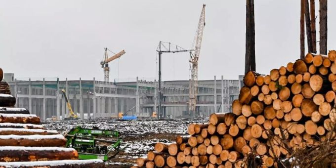 Abgeholzte Kiefernstämme liegen auf dem Baugelände der Tesla Gigafactory östlich von Berlin. Foto: Patrick Pleul/dpa-Zentralbild/dpa Abgeholzte Kiefernstämme liegen auf dem Baugelände der Tesla Gigafactory östlich von Berlin. Foto: Patrick Pleul/dpa-Zentralbild/dpa
