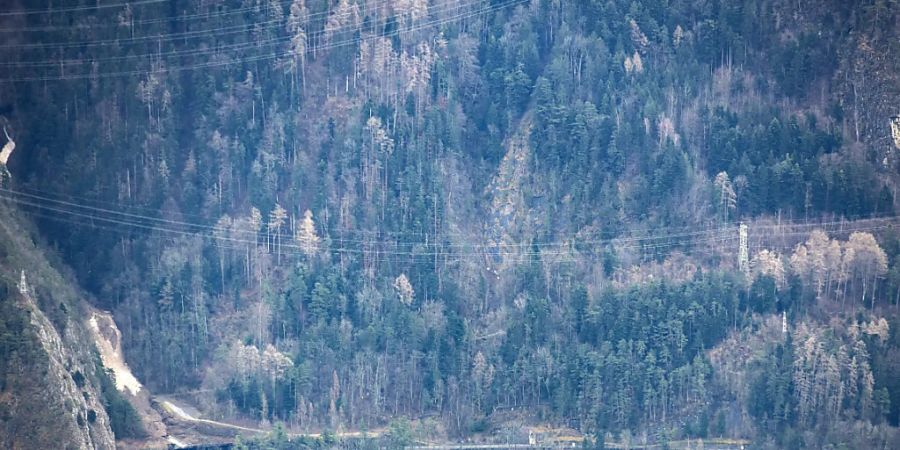 Nach einem Felssturz im Bereich Buggital oberhalb der Axenstrasse vor zwei Wochen kam es nun im Gumpisch-Gebiet zu einem erneuten Steinschlag. Archivbild)