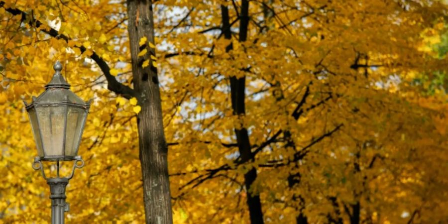 Herbst in Berlin