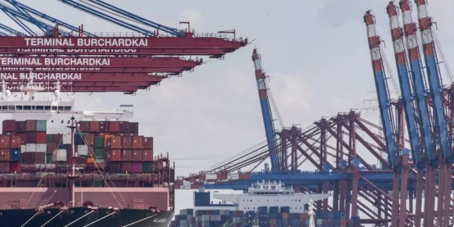 Der Branchenverband BGA rechnet mit einem Exportrückgang von rund 160 Milliarden Euro. Foto: Axel Heimken/dpa