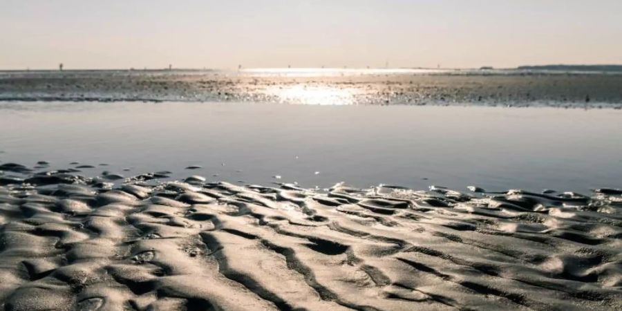 Blick auf einen Priel im Wattenmeer zwischen Cuxhaven und der Insel Neuwerk. Der Klimawandel ist zur grössten Bedrohung der Weltnaturerbe-Stätten weltweit geworden. Foto: Mohssen Assanimoghaddam/dpa