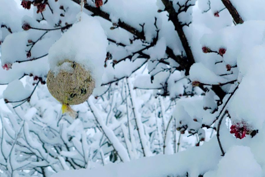 Der Winter zeigt sich im Januar noch einmal in voller Pracht.