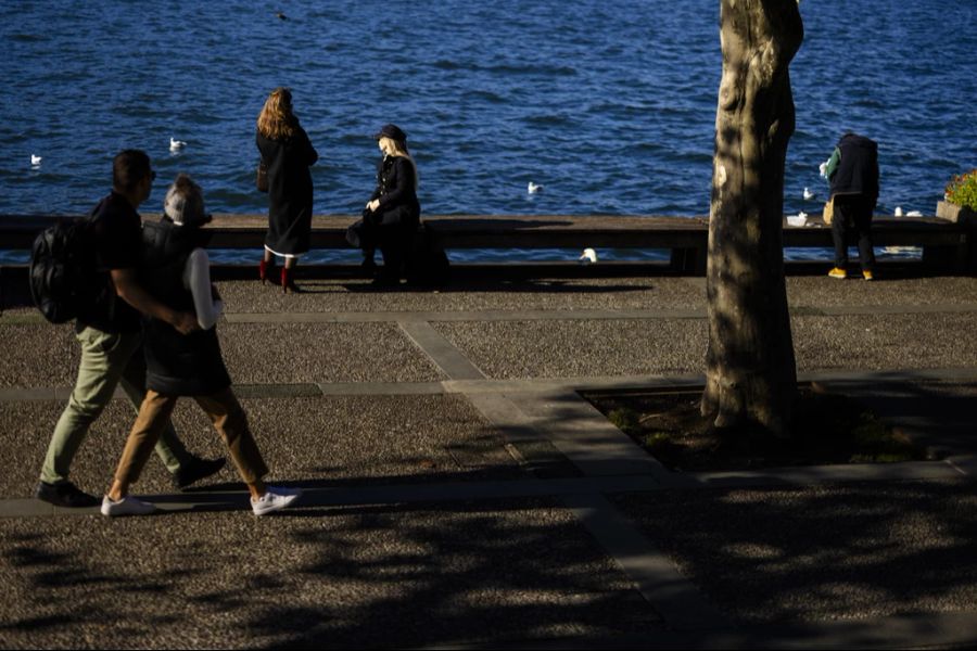 Seeweg Zürichsee