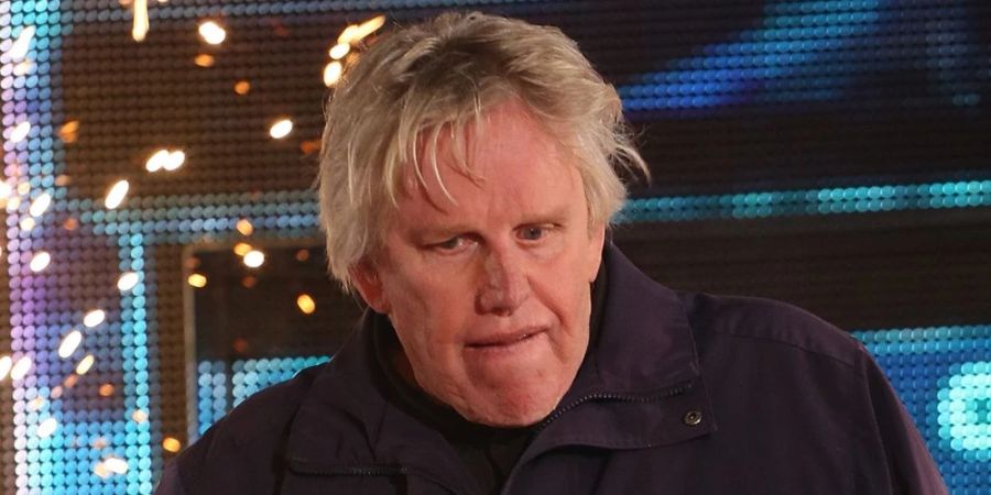 Hat Gary Busey zwei Frauen sexuell belästigt und begrapscht?