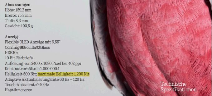 Im Originalen Spec-Sheet des Nothing Phone (1) wurden tatsächlich noch 1200 Nits aufgelistet. Nothing Phone (1) Display