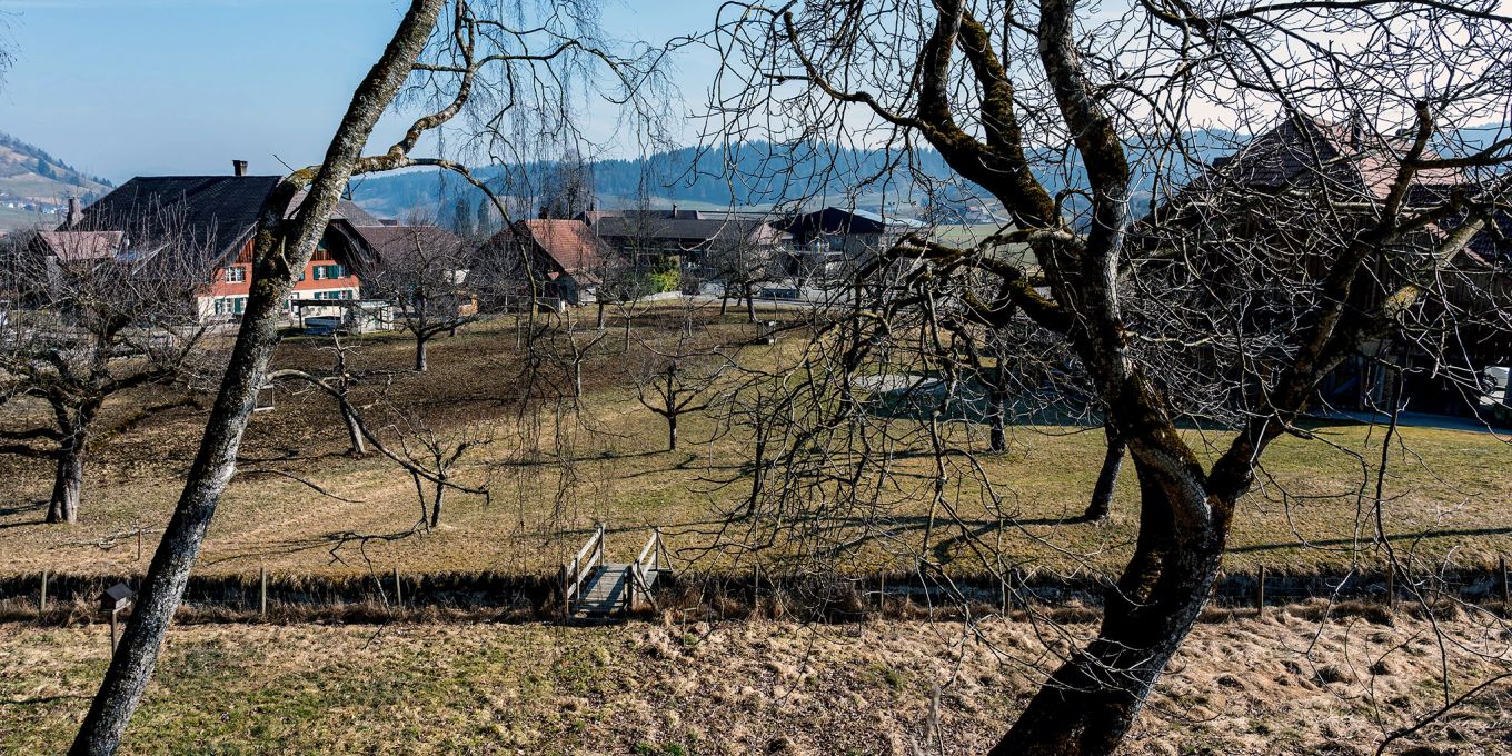 Einige Landwirte aus Bowil missachten den Gewässerschutz | Nau.ch