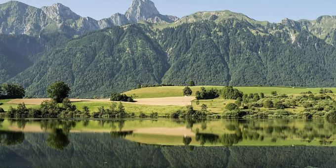 Erlenbach im Simmental - Bund will Steinbockkolonie am Stockhorn