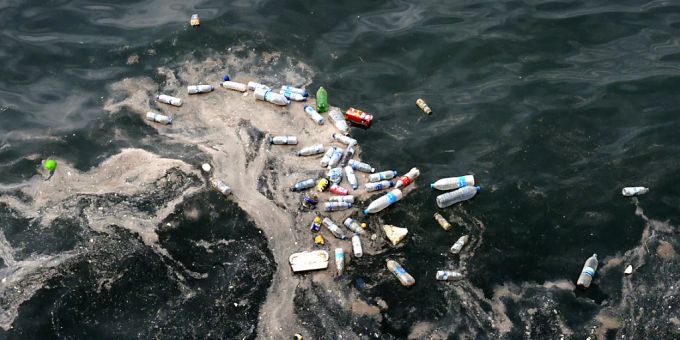 Laut Forscher könnte die Unechte Karettschildkröte ein potenzieller Bioindikator sein Schildkröten im Mittelmeer.