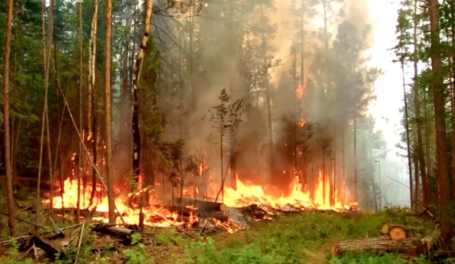 russland waldbrände