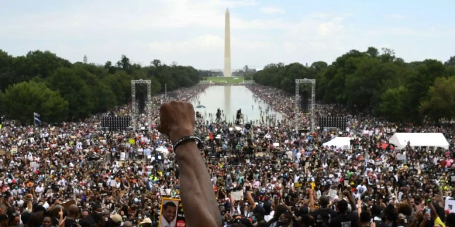 Demonstranten in Washington