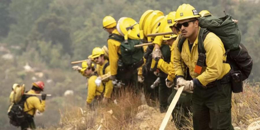 Allein in Kalifornien kämpften rund 14 000 Feuerwehrleute gegen 29 Wald- und Buschbrände. Foto: David Crane/The Orange County Register/AP/dpa